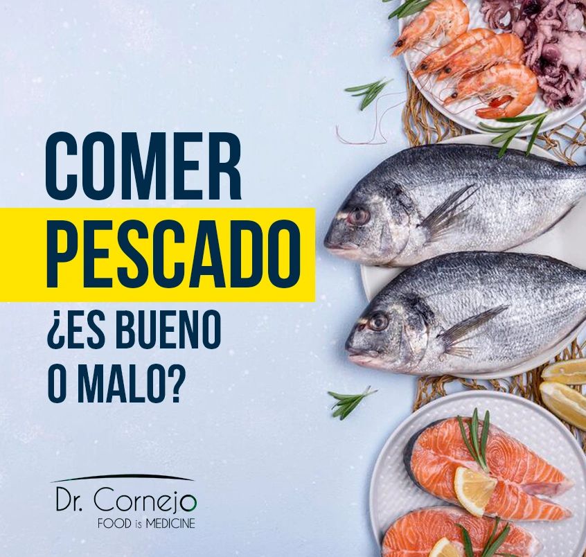 COMER PESCADO ¿ES BUENO O MALO?